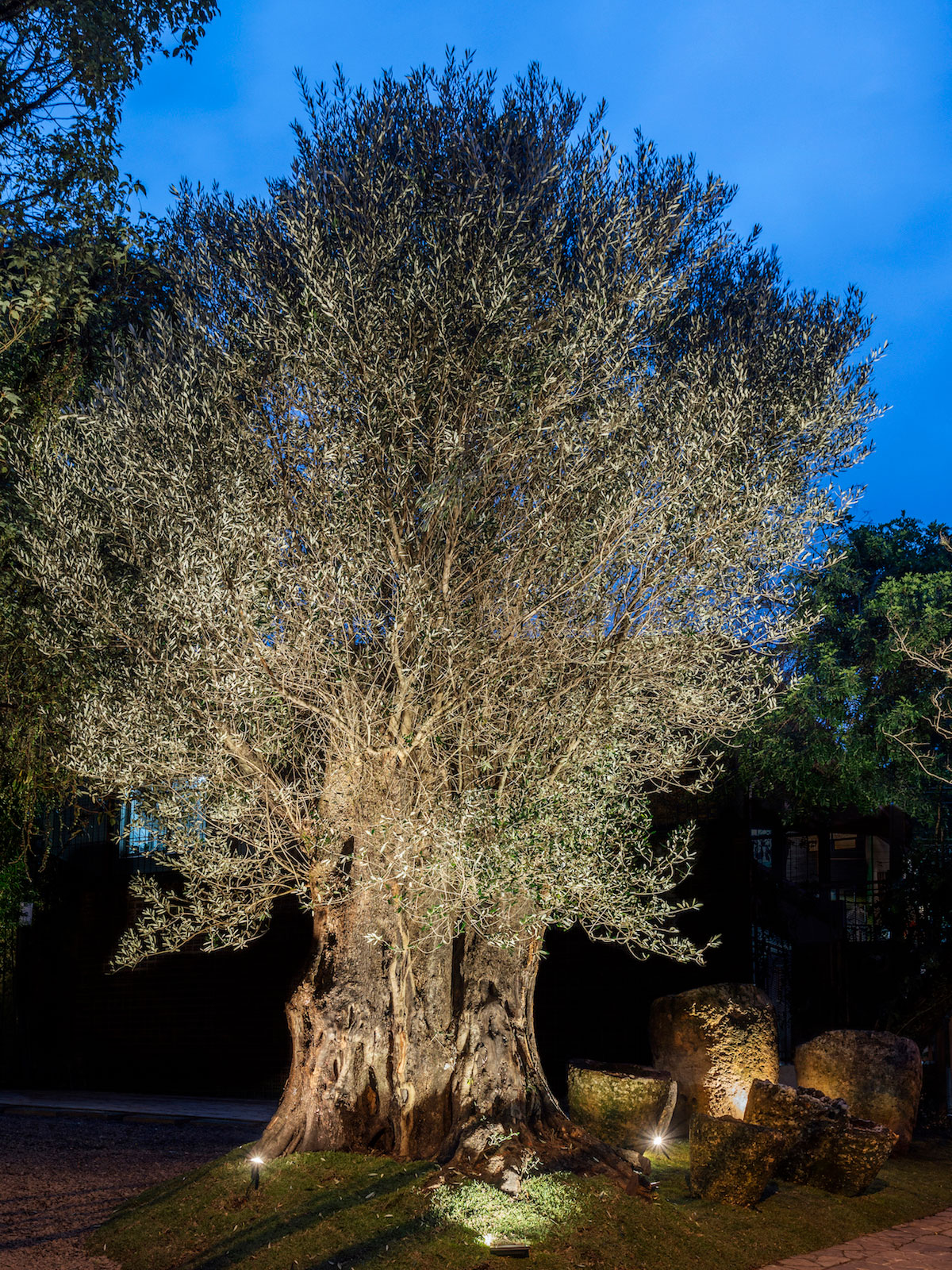 Jardim Terra Viva - Arqmove Arquitetura e Paisagismo. Um paisagismo naturalista e desconstruído, que leva à risca a preservação das espécies existentes e o uso de materiais com baixo impacto ambiental. Nos dois lados da rua onde se realiza CASACOR, o passeio público foi conectado aos oito jardins de cada casa, conferindo eixo, simetria e fluidez entre os espaços.