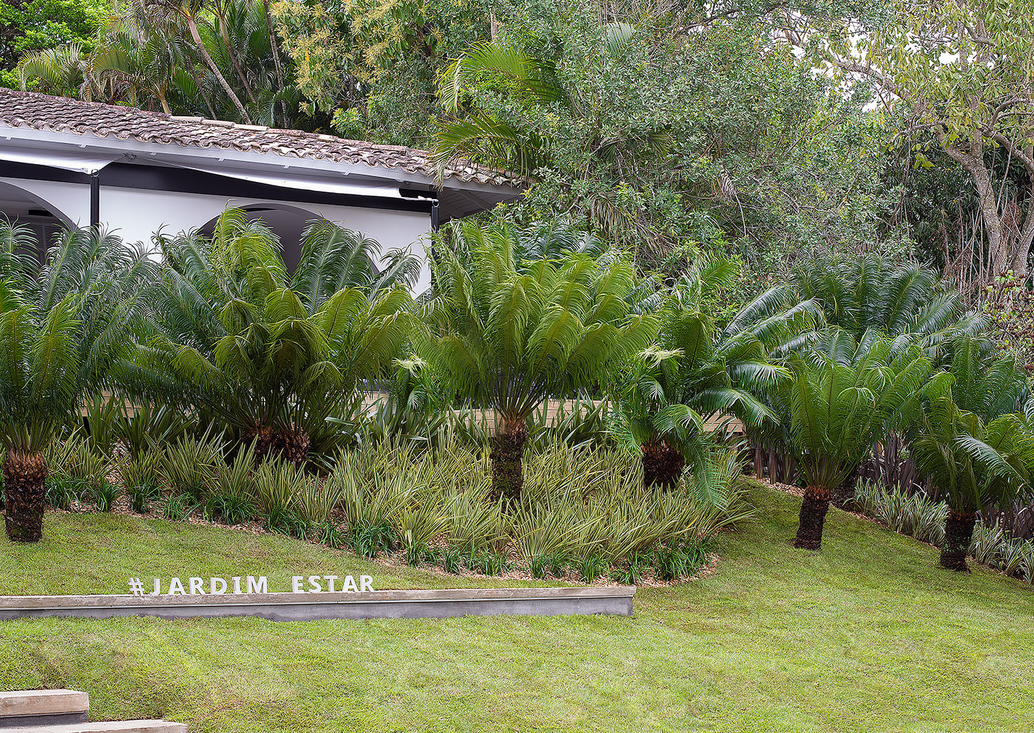 Jardim Estar - Ana Trevisan. O espaço conecta as edificações externas à casa principal. O desafio de trabalhar com o desnível do local foi respondido com uma escada ampla, responsável pela circulação. Plantas de diversos portes exploram a topografia, no projeto inspirado em jardins de permanência e de experimentação.