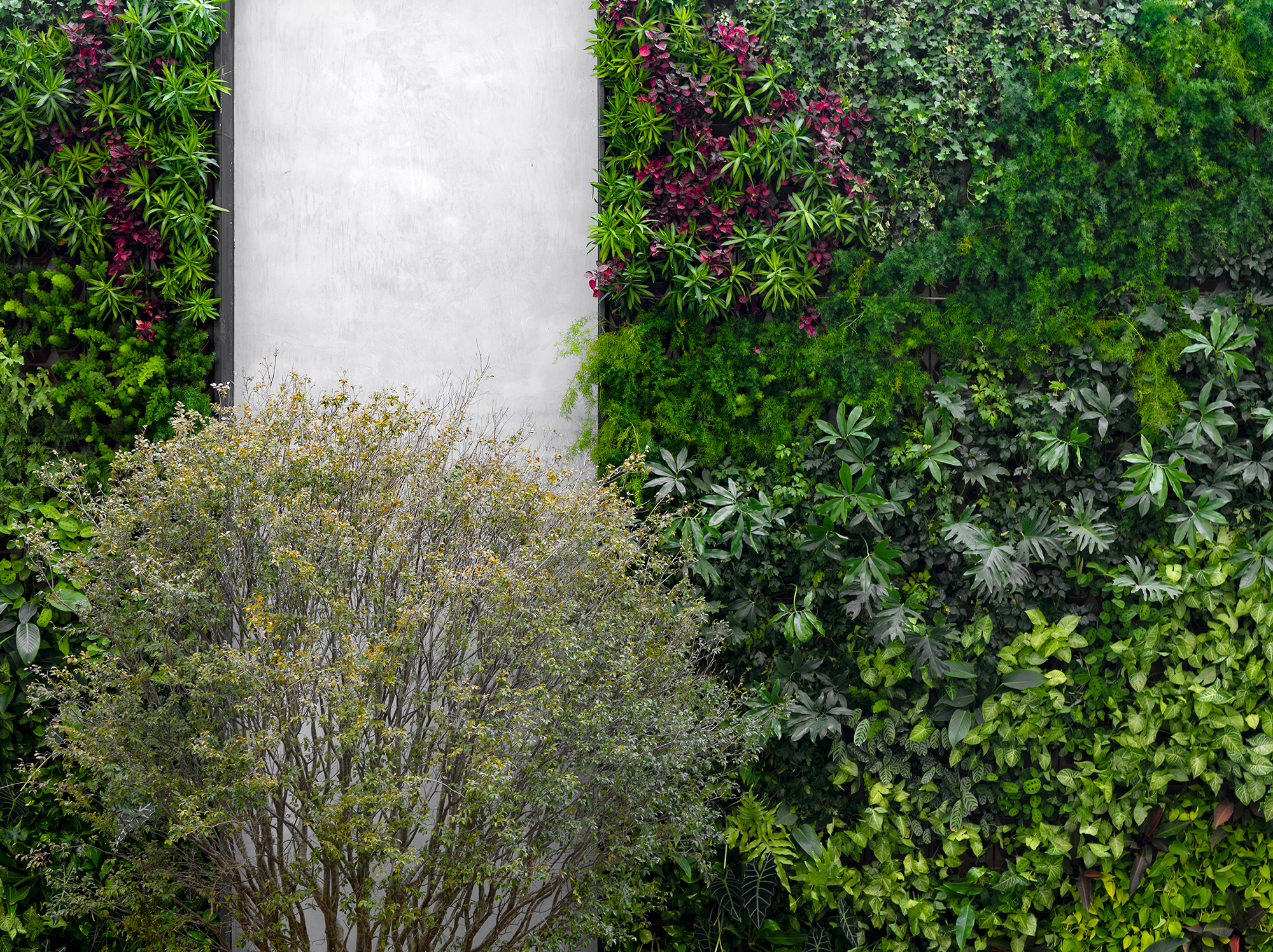 Roberta Zimmermann, Cláudio Saladini e Letícia Vieira - Harmony Garden. Projetado na área de convivência do The Spot One com o objetivo de criar um ambiente externo agradável e natural, que transmita serenidade e tranquilidade, e também para os momentos de descontração como o tão esperado happy hour. A iluminação difusa foi pensada para a construção de atmosferas envolventes, por ser capaz de estabelecer uma aura mágica e serena. A luz se dispersa suavemente realçando as texturas e as nuances do paisagismo de espécies tropicais, proporcionando uma sensação de bem-estar e intimidade com a natureza.