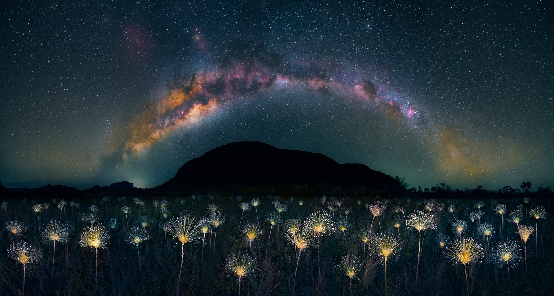 Foto da Chapada dos Veadeiros inspirada em Avatar ganha prêmio internacional